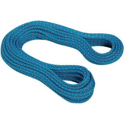 Mammut 9.5 Infinity Protect Rope