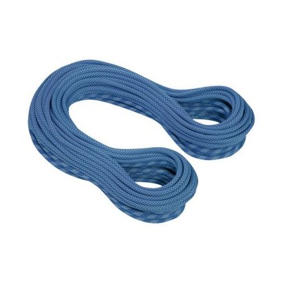 Mammut 9.5 Infinity Dry Duodess Rope