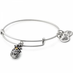 Alex and Ani Jewelry
