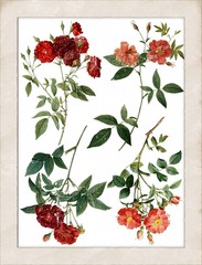 Decor Transfer