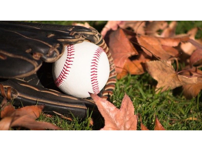 Programmes d'encadrement - Baseball d'Automne