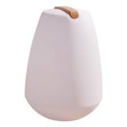 Smart & Green Vessel LED indoor/outdoor Lamp