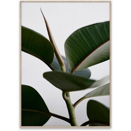 Paper Collective Green Home 02