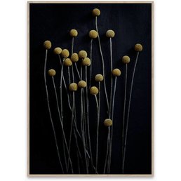 Paper Collective Still Life 01
