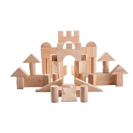 PlanToys Plan Toys 50 Unit Blocks