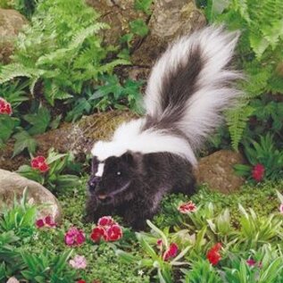 Folkmanis Skunk Puppet