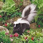 Folkmanis Skunk Puppet