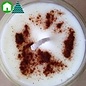 The Soap Company of Nova Scotia 20-hr Soy Candle