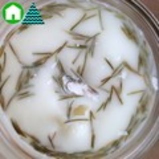 The Soap Company of Nova Scotia 20-hr Soy Candle