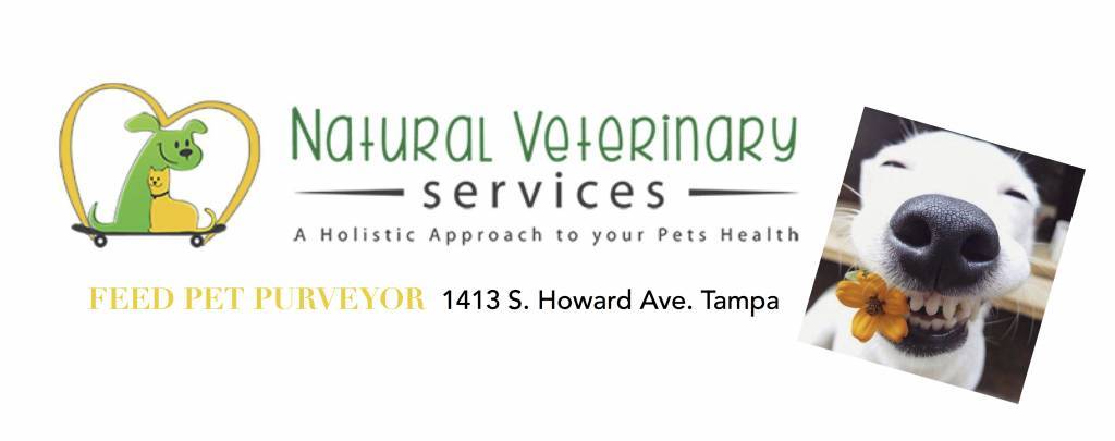 Dental Cleanings @ Feed June 2017