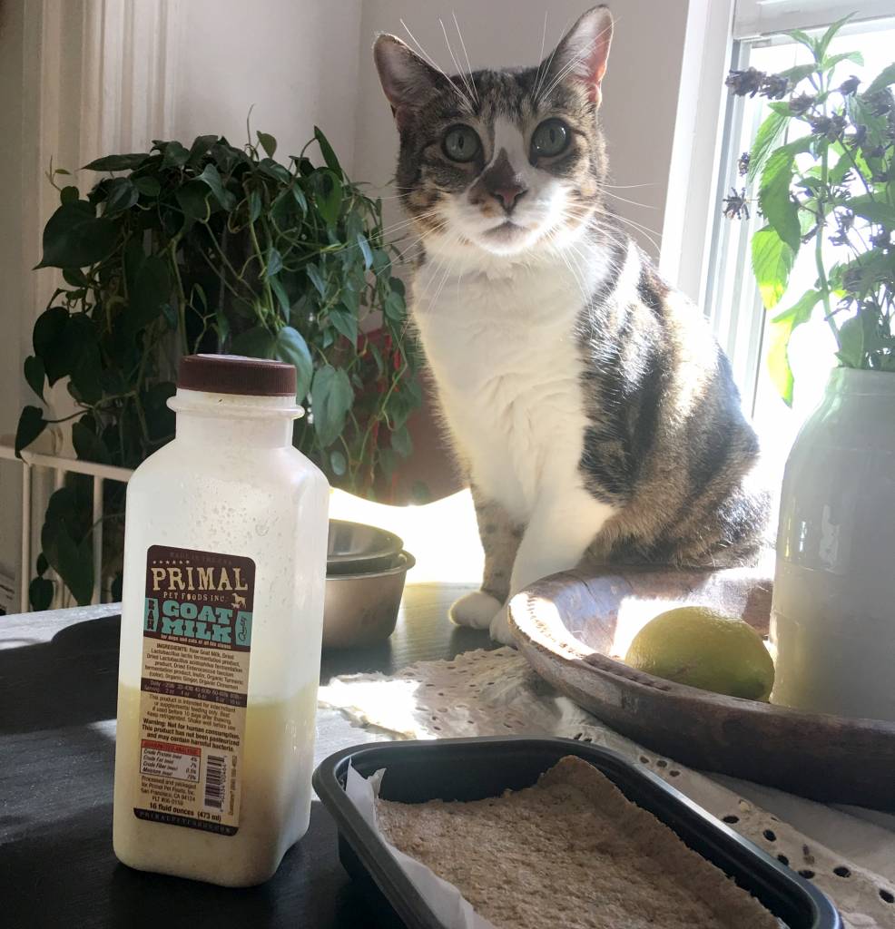 Primal Goat Milk