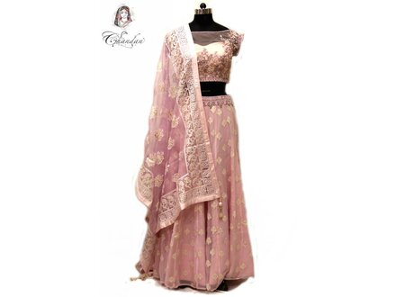 Light Pink Embroidered Net Lehenga Choli with Stones & Pearls Light Pink Embroidered Net Lehenga Choli with Stones & Pearls