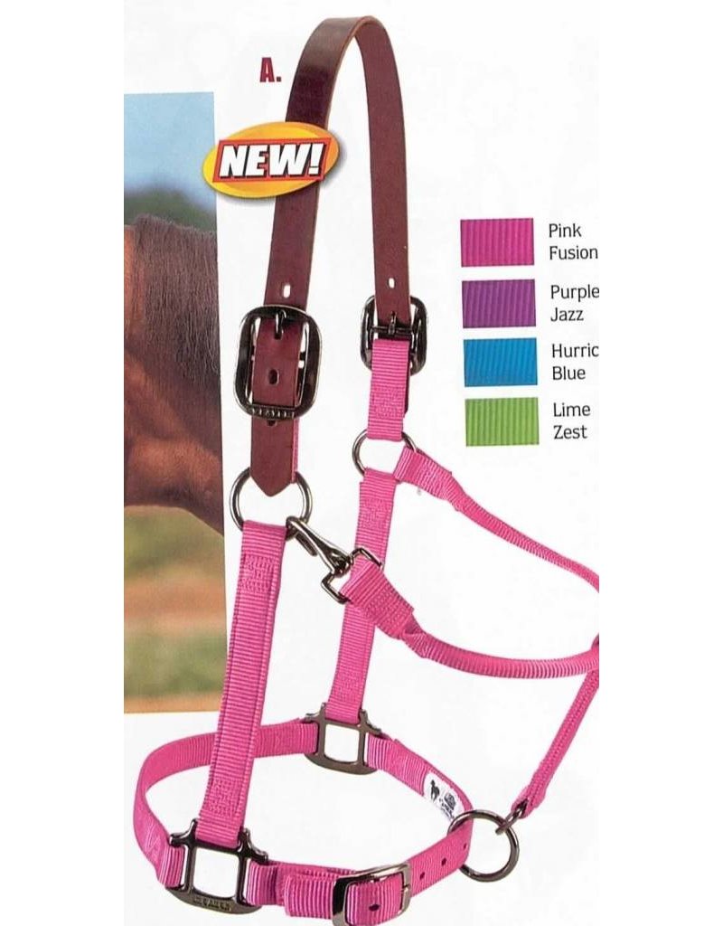 Weaver Leather Company Breakaway Halter Pink Lg Horse Gass Horse