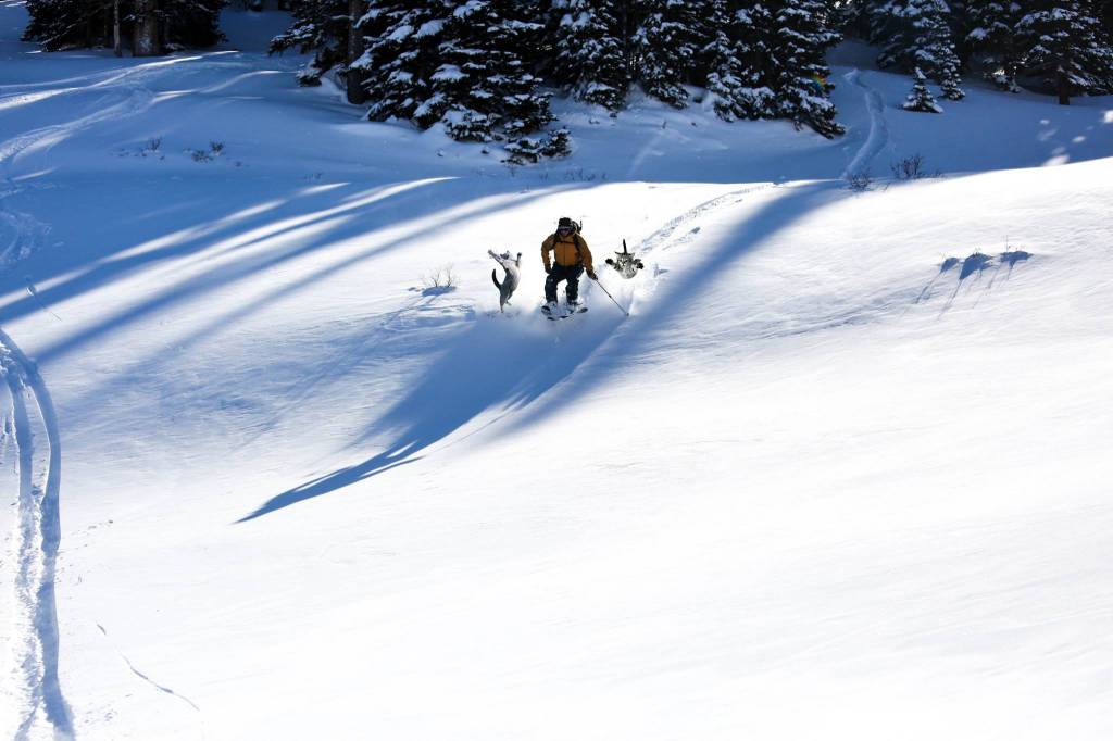 Trailhead Clinic: Skiing with Your Adventure Cat
