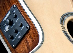 Acoustic / Electric Guitars