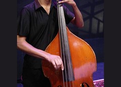 Upright / String Bass Strings
