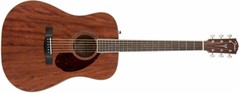 Fender Acoustic Electric Guitars