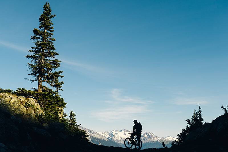 Noble Knows Best- 8 Rides to Make you Fall in Love