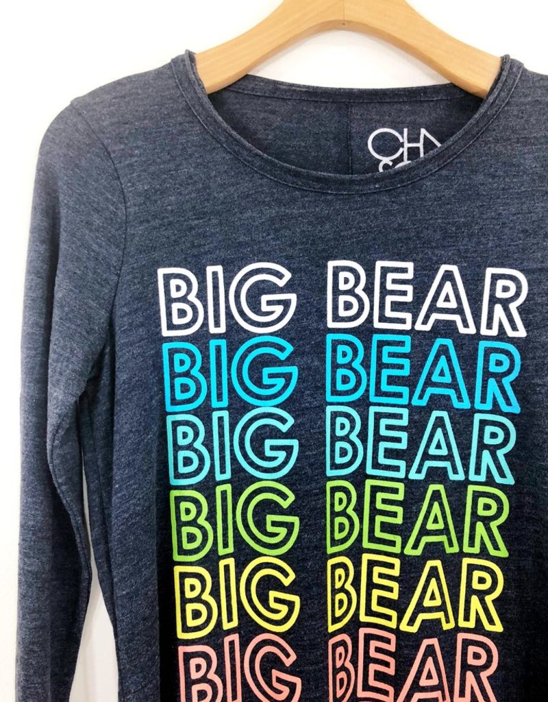 Big bear and chaser