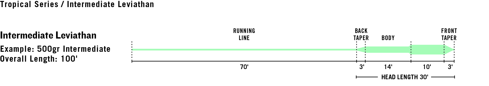 RIO Leviathan Intermediate Fly Line