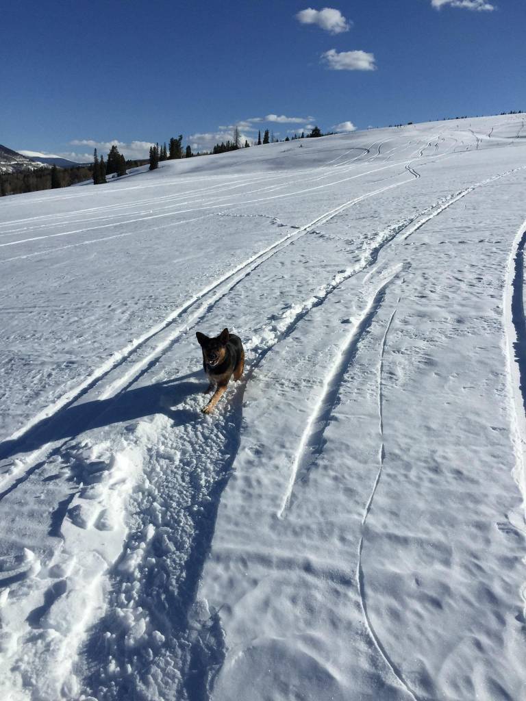 Alpine Touring Gear that Cory loves