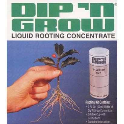 Dip 'N Grow Dip'N Grow