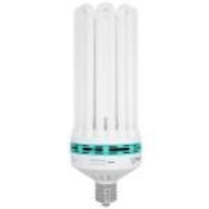 Feliz Feliz Blue Fluorescent 200 Watt