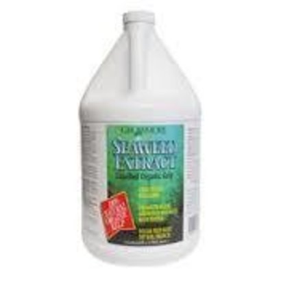 Grow More Seaweed Organic 11% Gallon