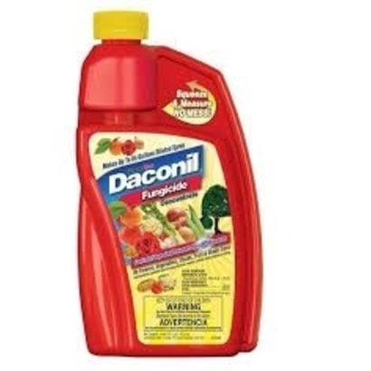 Daconil Daconil Fungicide Con.