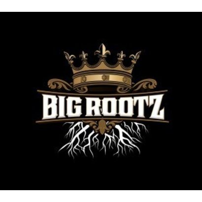 Soil King Soil King Big Rootz 1.5CF (50 per pallet)