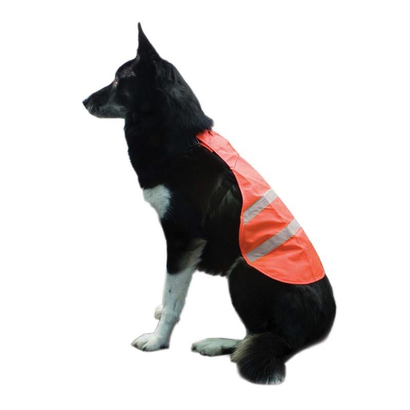 blaze orange dog vest blaze orange dog vest