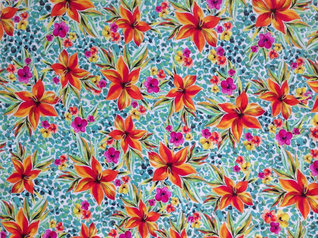 New Print - REGINA