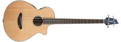 Acoustic Bass