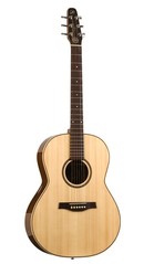 Acoustic-Electric