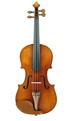 Orchestra