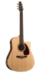 Acoustic-Electric
