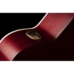 Acoustic-Electric