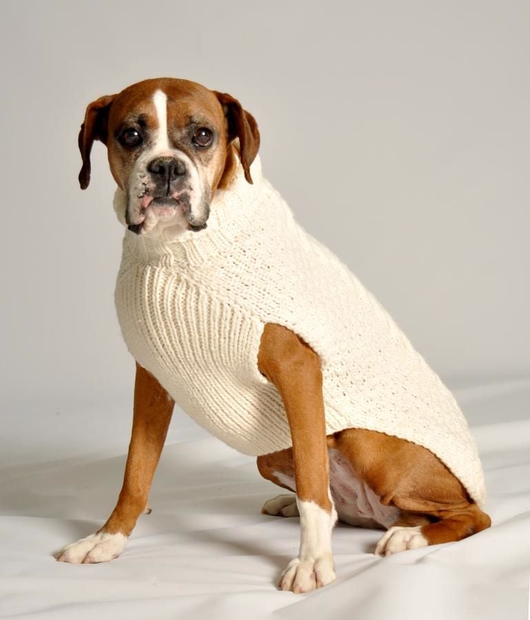 Dog Sweater Nearby
 SWEATERS ARAN CABLE KNIT DOG SWEATER Irish Crossroads