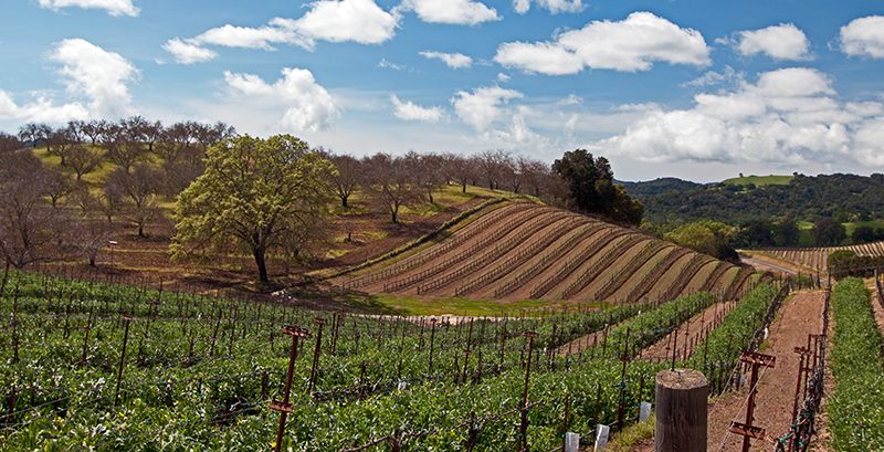 Get To Know California's Central Coast