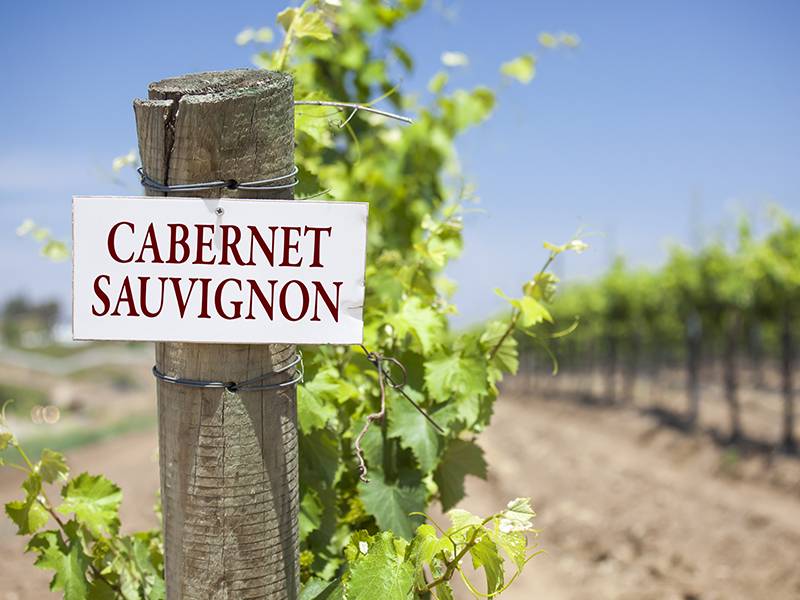 10 Things You May Not Know About Cabernet Sauvignon