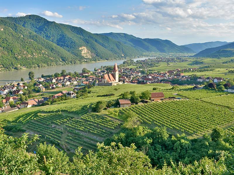 ABCs of Austrian Wine