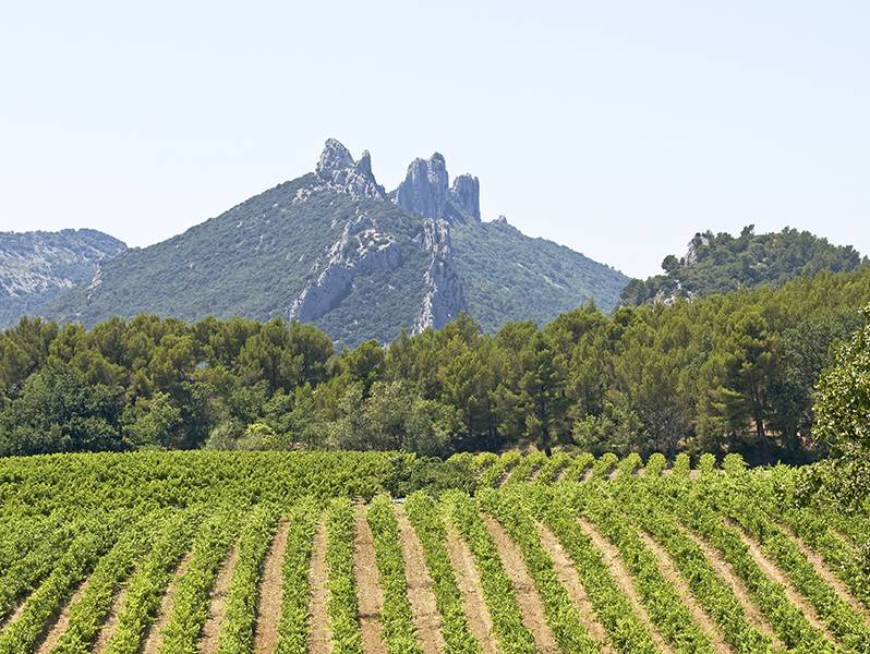 Gigondas and Saint Cosme