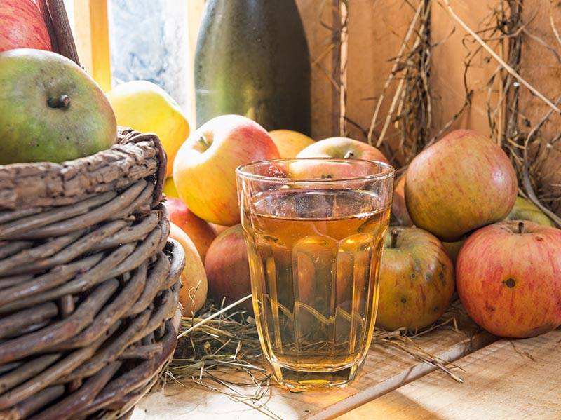 A Brief History of the Hewe’s Crab Apple in Virginia