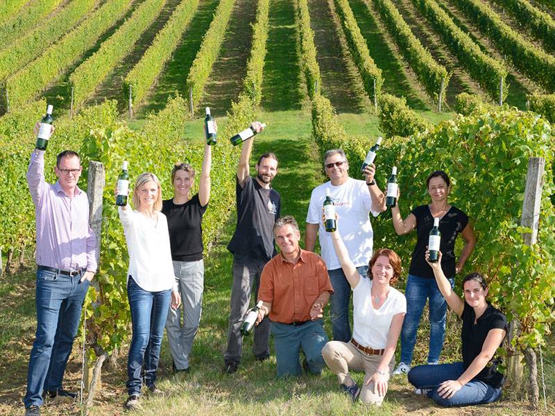 The Wines of Château Lestrille