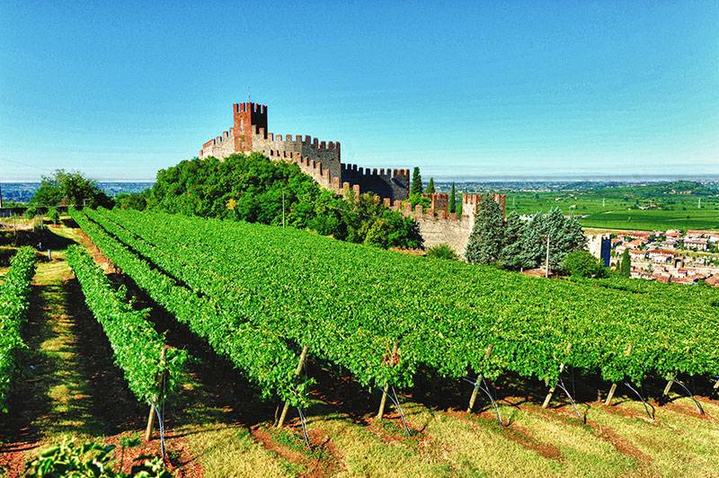 Soave is So-a-Ve-ry Good
