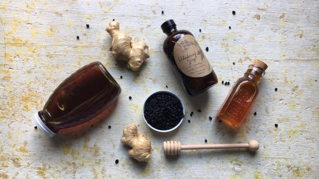 Winter-Hardy Elderberry Syrup Recipe