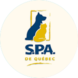 Logo SPA