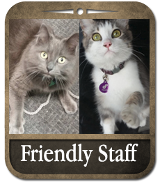 Friendly Staff at The Guild House
