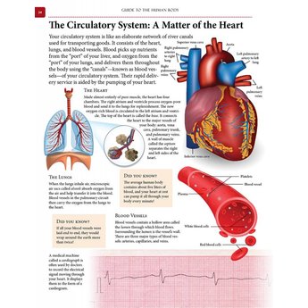 Guide to the Human Body, by Institute for Creation Research - Institute