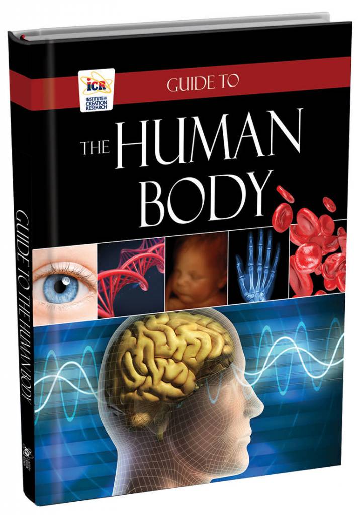 Guide To The Human Body By Institute For Creation
